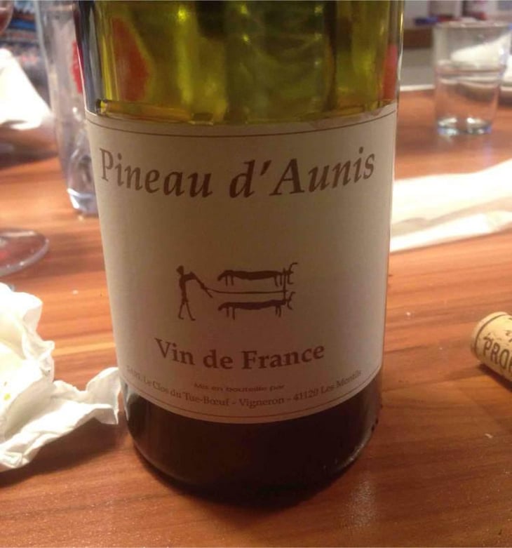 Pineau d'Aunis - Clos du Tue-Bœuf - Zoé, Louise & Thierry Puzelat 