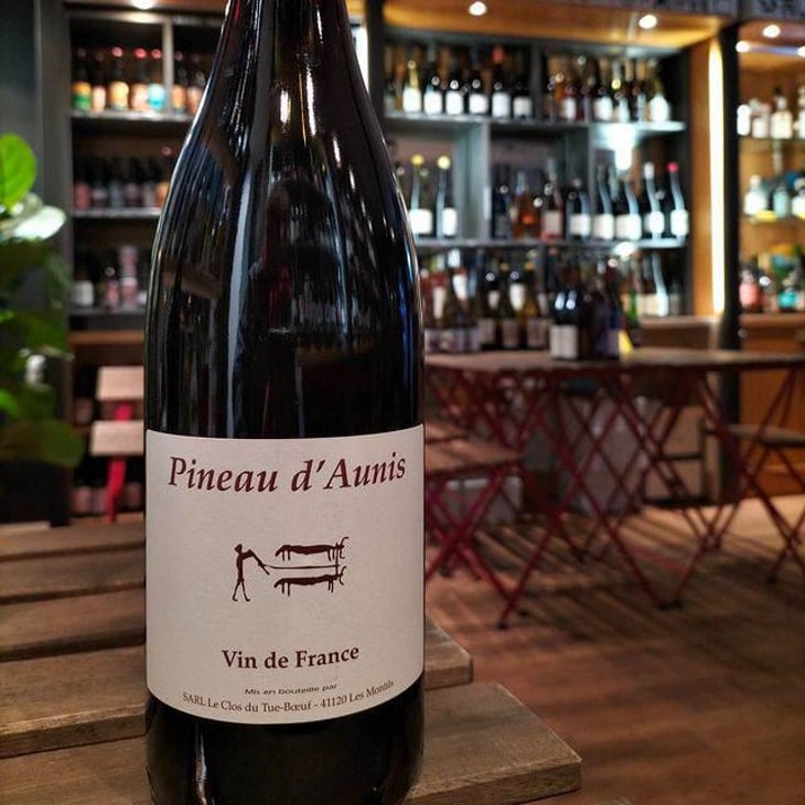 Pineau d'Aunis - Clos du Tue-Bœuf - Zoé, Louise & Thierry Puzelat 