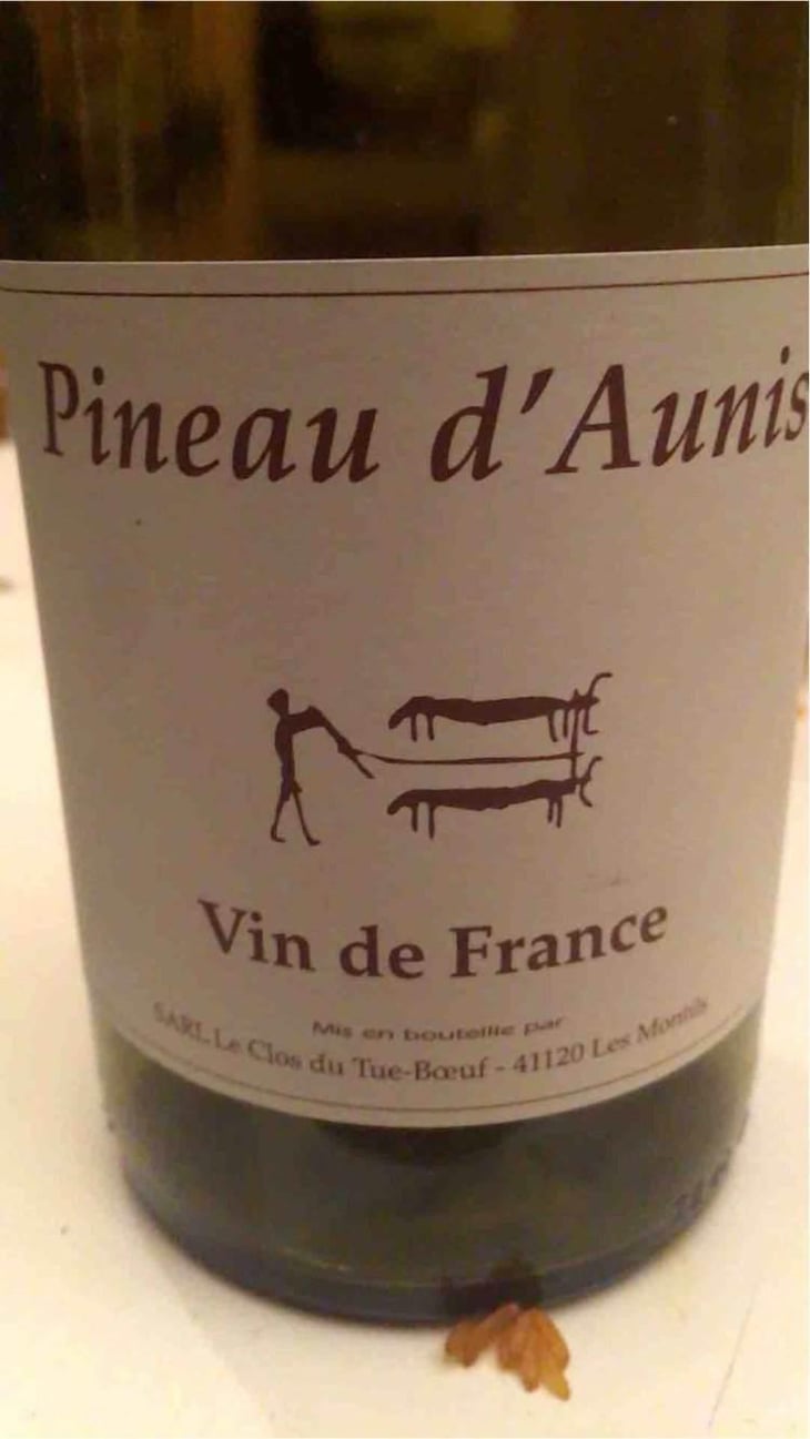 Pineau d'Aunis - Clos du Tue-Bœuf - Zoé, Louise & Thierry Puzelat 