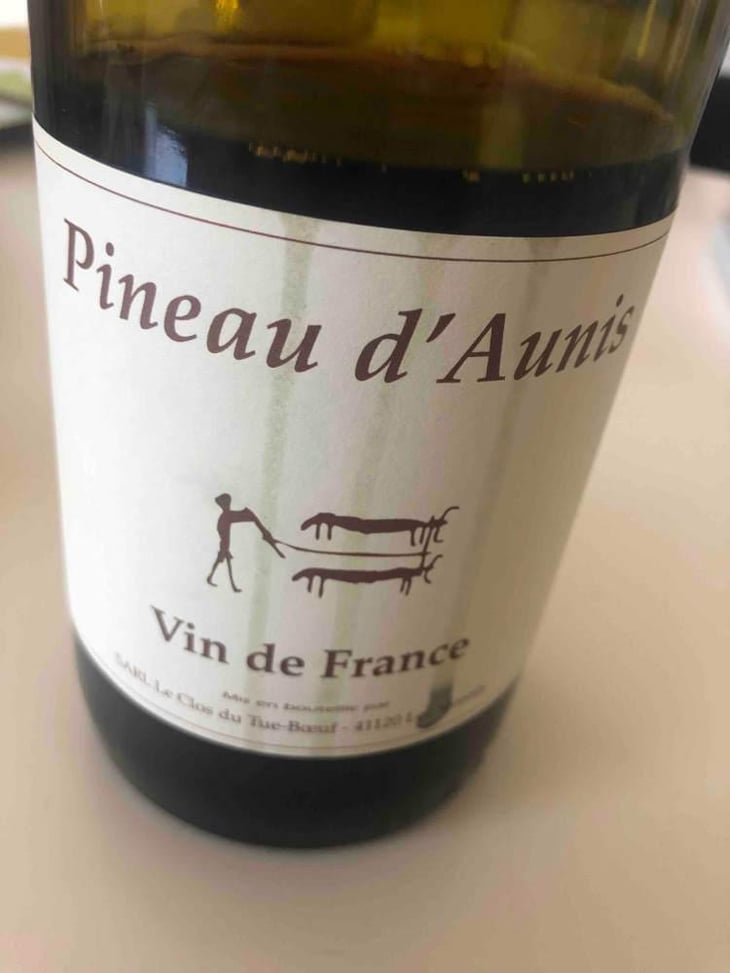 Pineau d'Aunis - Clos du Tue-Bœuf - Zoé, Louise & Thierry Puzelat 