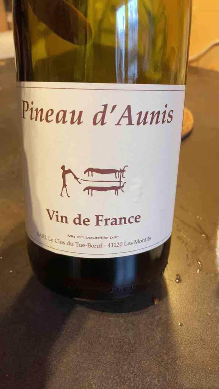 Pineau d'Aunis - Clos du Tue-Bœuf - Zoé, Louise & Thierry Puzelat 