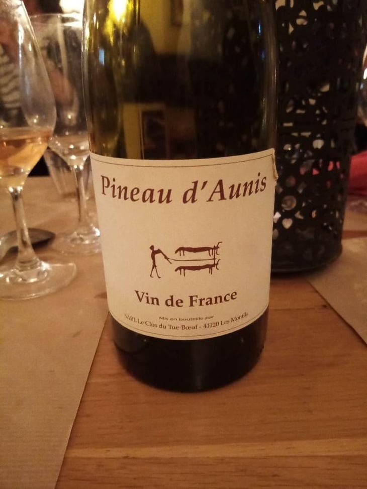 Pineau d'Aunis - Clos du Tue-Bœuf - Zoé, Louise & Thierry Puzelat 