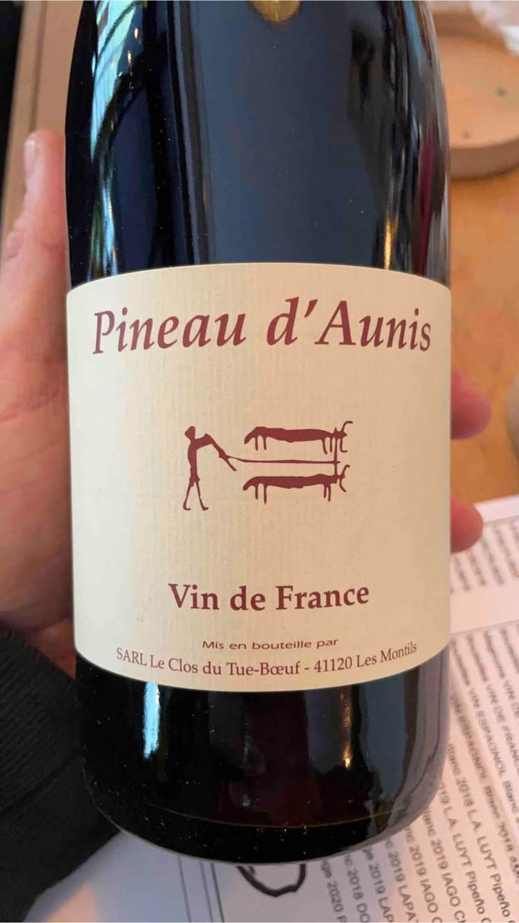 Pineau d'Aunis - Clos du Tue-Bœuf - Zoé, Louise & Thierry Puzelat 