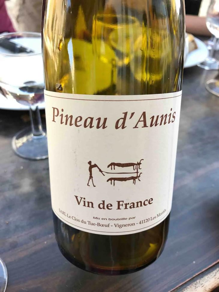 Pineau d'Aunis - Clos du Tue-Bœuf - Zoé, Louise & Thierry Puzelat 