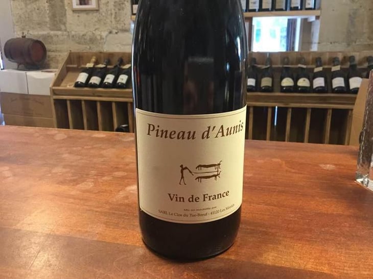 Pineau d'Aunis - Clos du Tue-Bœuf - Zoé, Louise & Thierry Puzelat 