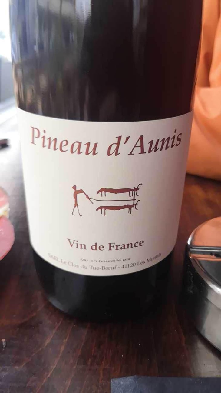 Pineau d'Aunis - Clos du Tue-Bœuf - Zoé, Louise & Thierry Puzelat 