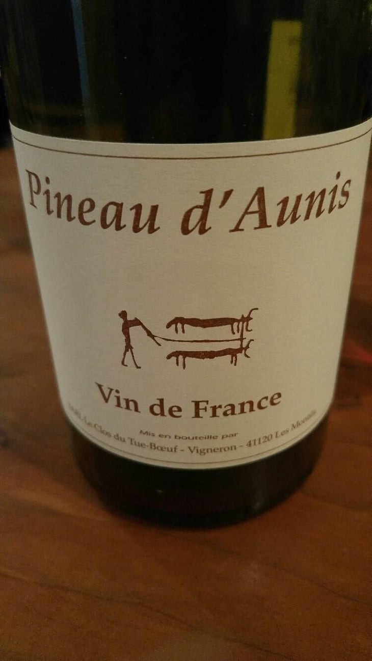 Pineau d'Aunis - Clos du Tue-Bœuf - Zoé, Louise & Thierry Puzelat 