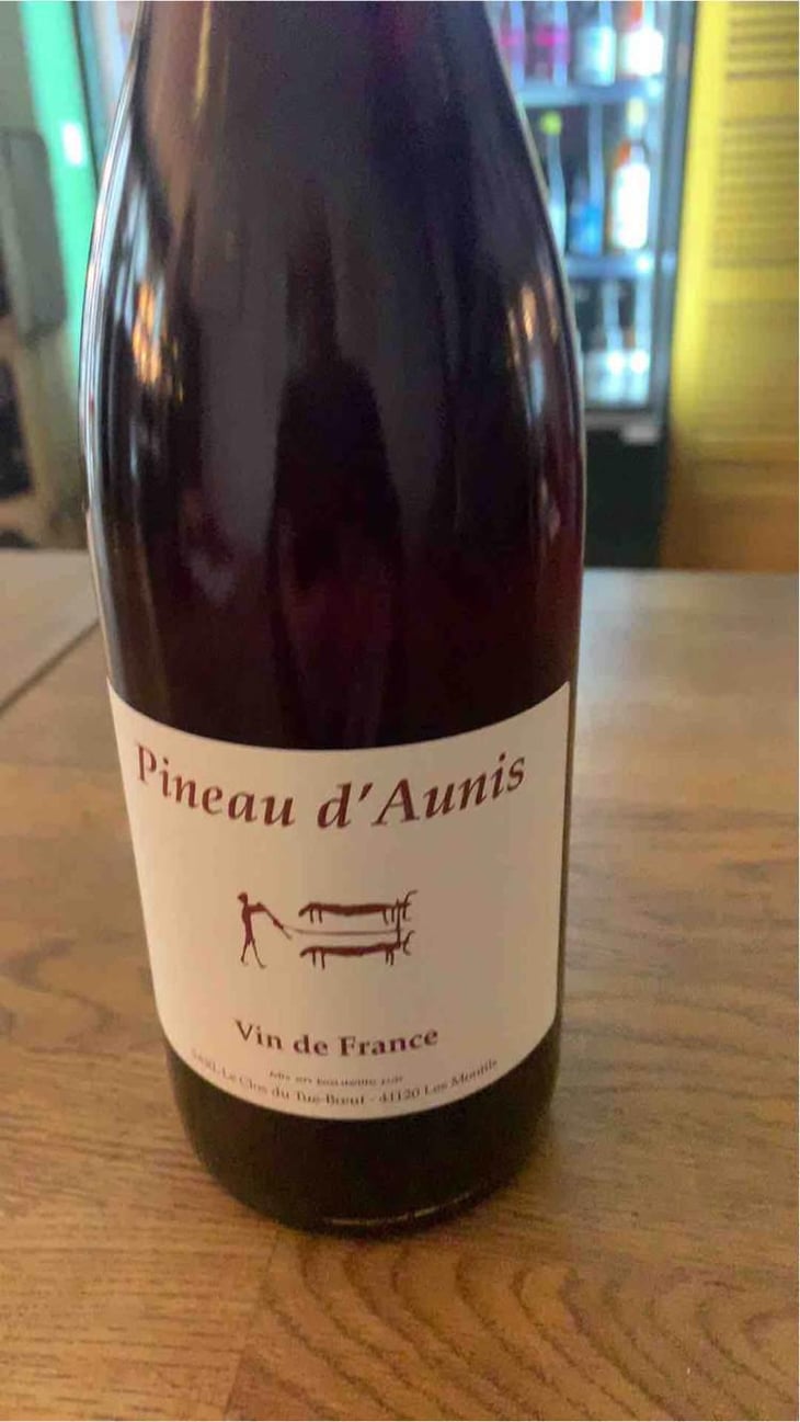Pineau d'Aunis - Clos du Tue-Bœuf - Zoé, Louise & Thierry Puzelat 