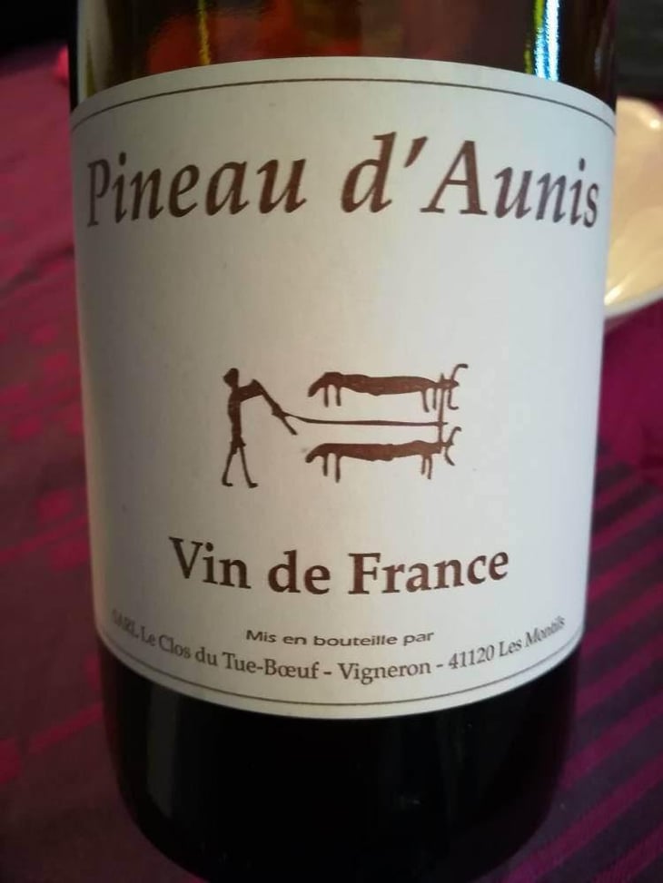 Pineau d'Aunis - Clos du Tue-Bœuf - Zoé, Louise & Thierry Puzelat 