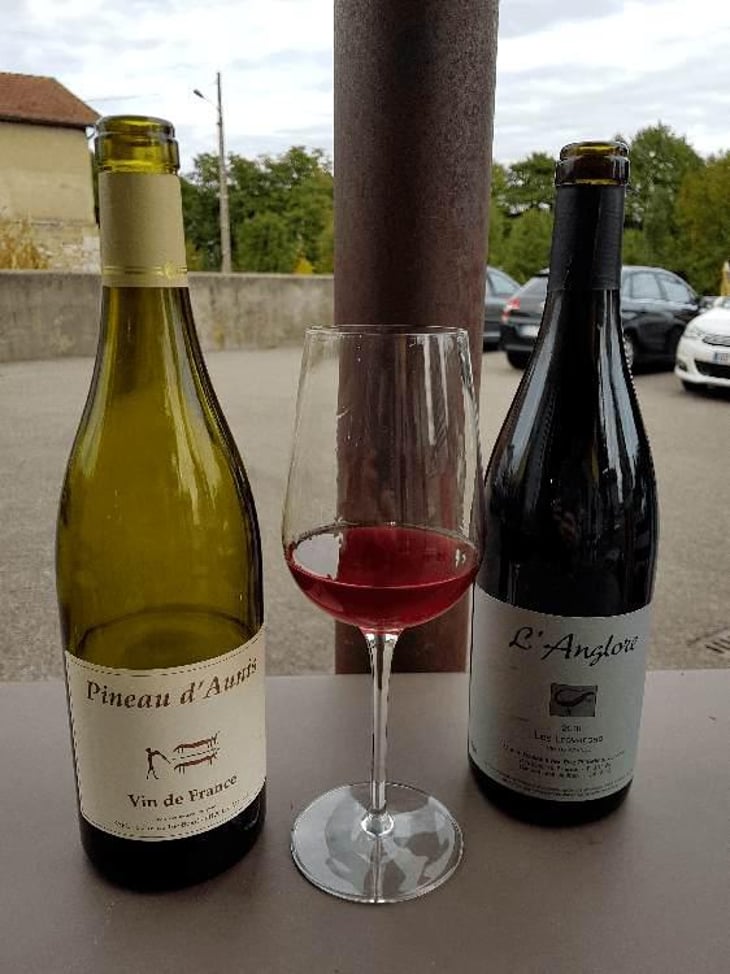Pineau d'Aunis - Clos du Tue-Bœuf - Zoé, Louise & Thierry Puzelat 
