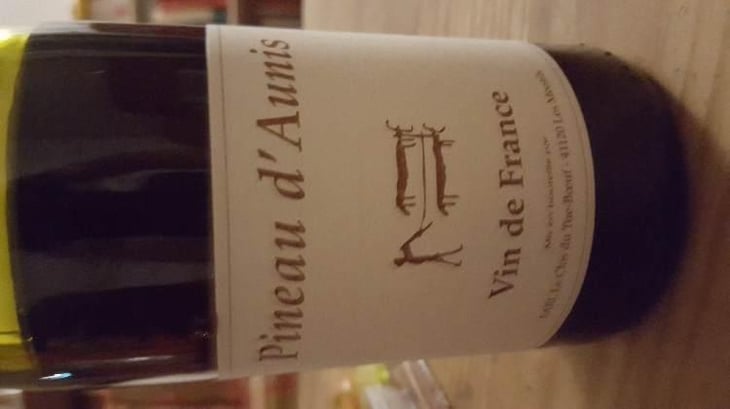 Pineau d'Aunis - Clos du Tue-Bœuf - Zoé, Louise & Thierry Puzelat 