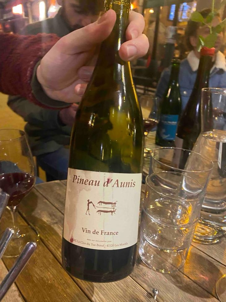 Pineau d'Aunis - Clos du Tue-Bœuf - Zoé, Louise & Thierry Puzelat 