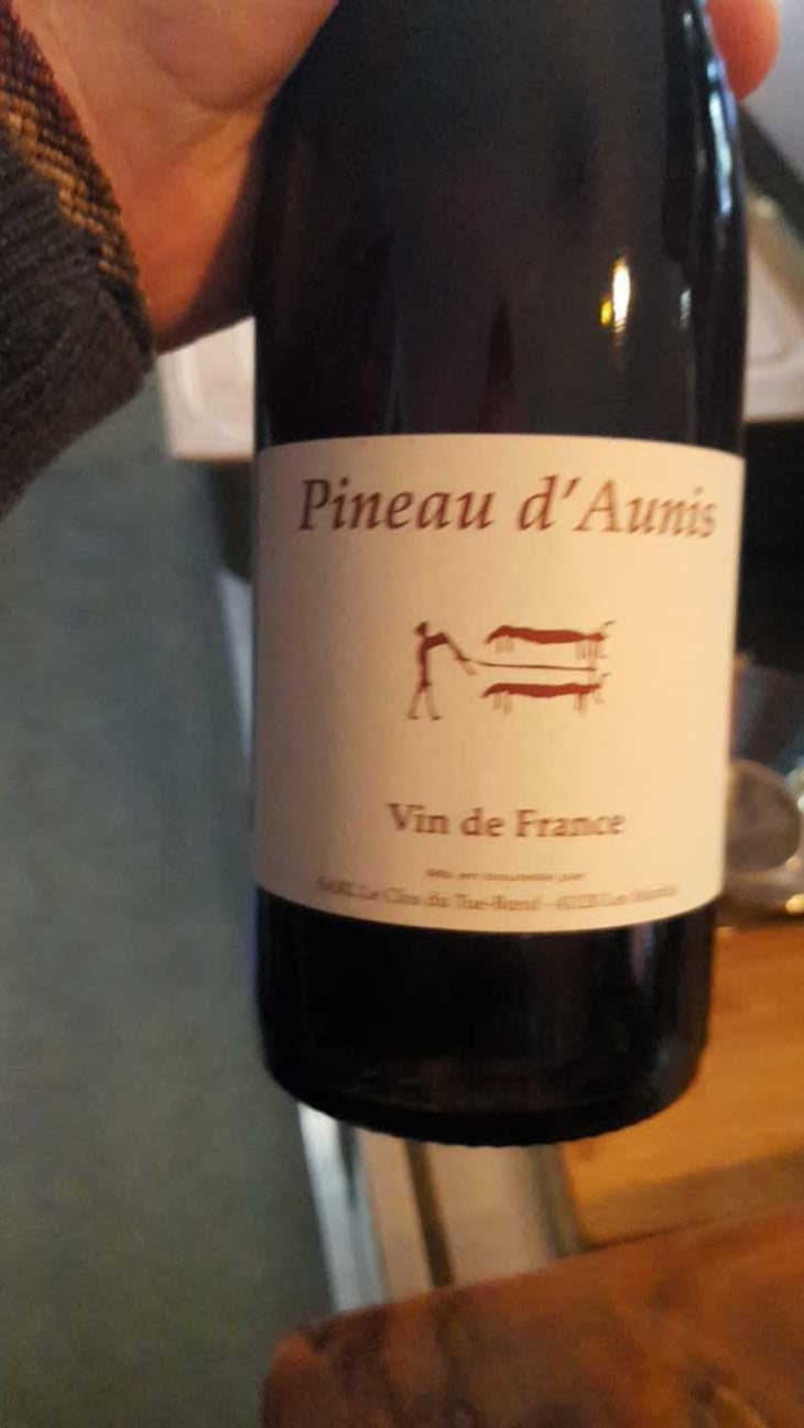 Pineau d'Aunis - Clos du Tue-Bœuf - Zoé, Louise & Thierry Puzelat 