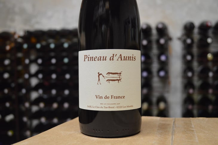 Pineau d'Aunis - Clos du Tue-Bœuf - Zoé, Louise & Thierry Puzelat 