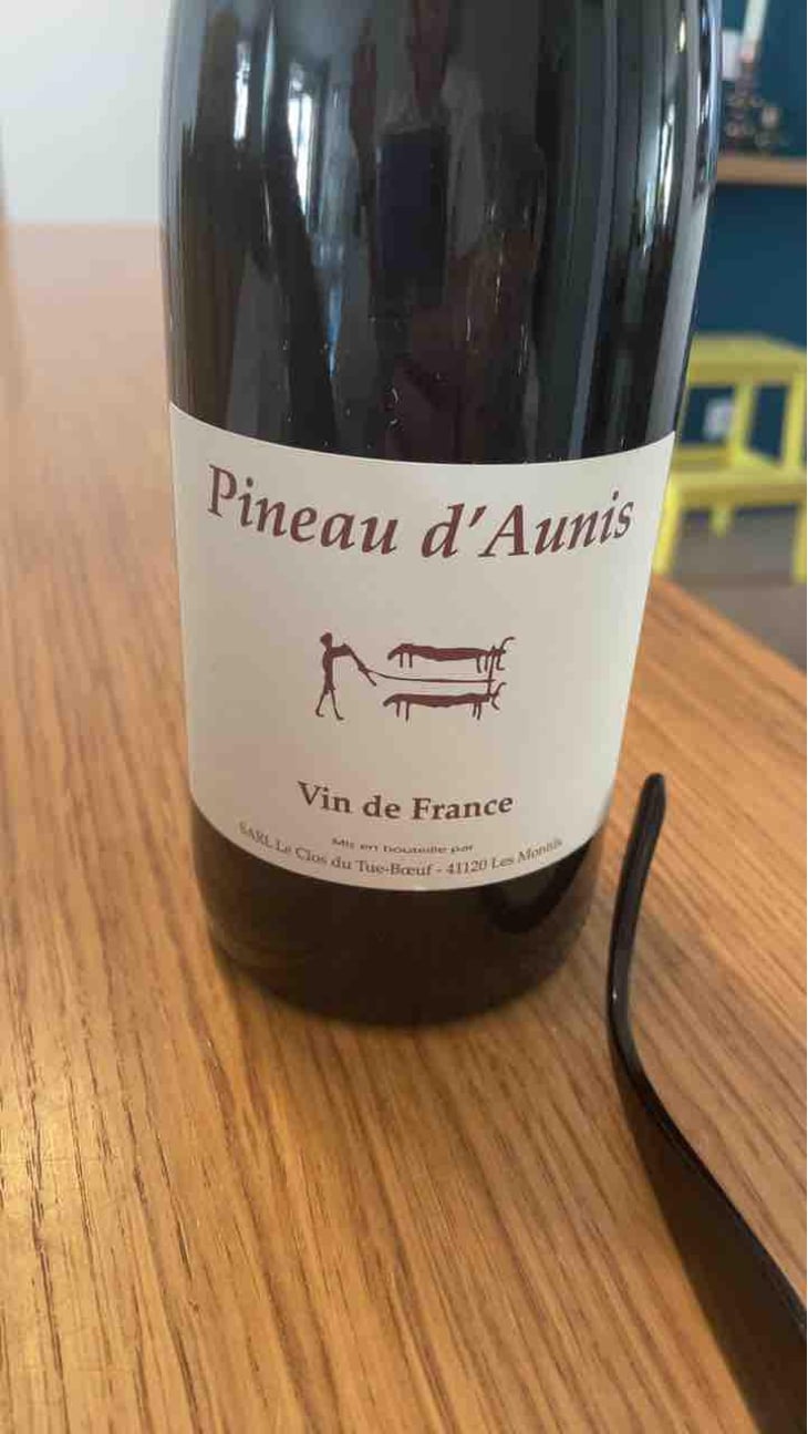 Pineau d'Aunis - Clos du Tue-Bœuf - Zoé, Louise & Thierry Puzelat 