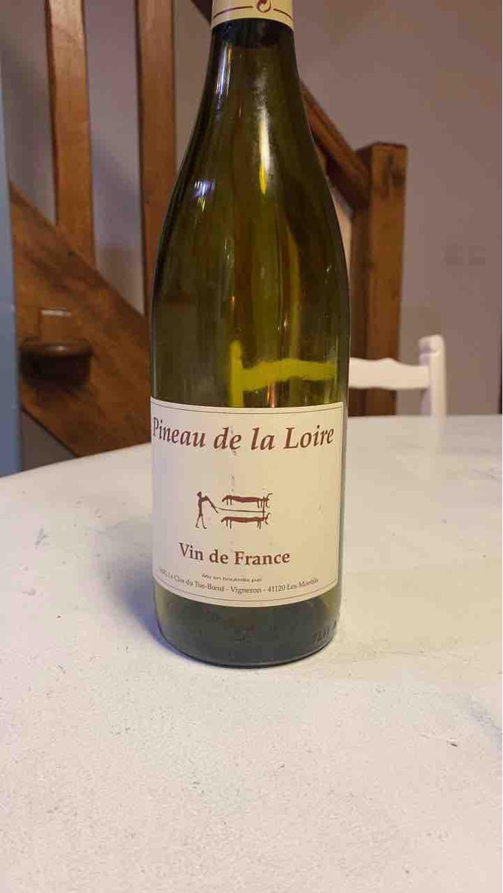Pineau d'Aunis - Clos du Tue-Bœuf - Zoé, Louise & Thierry Puzelat 