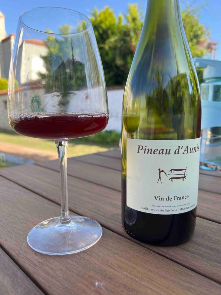 Pineau d'Aunis - Clos du Tue-Bœuf - Zoé, Louise & Thierry Puzelat 