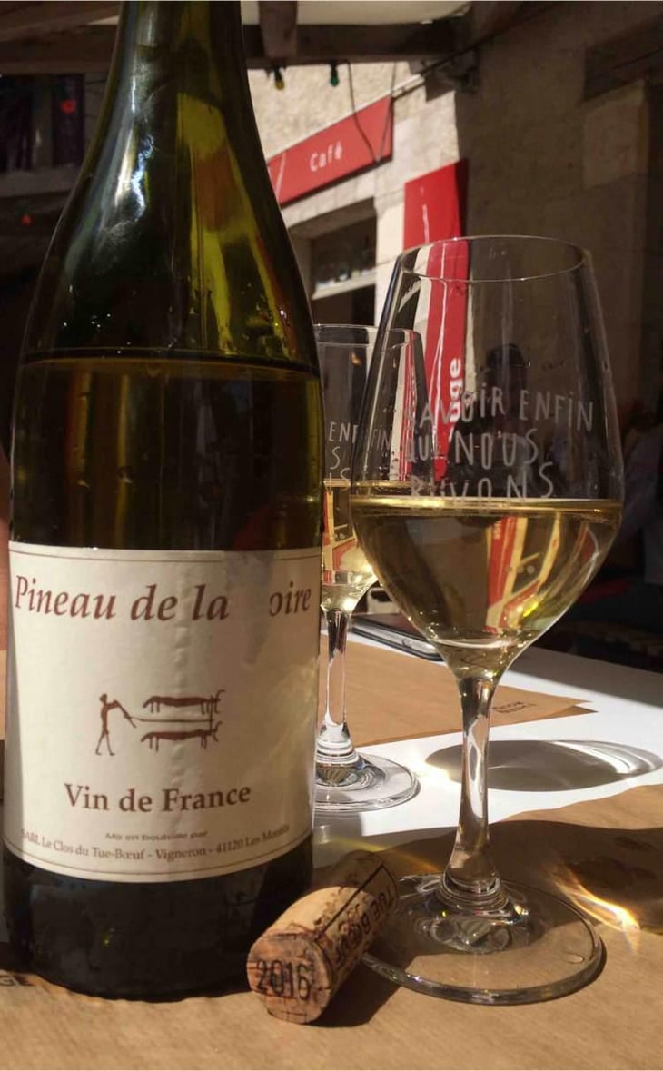 Pineau de la Loire - Clos du Tue-Bœuf - Zoé, Louise & Thierry Puzelat 