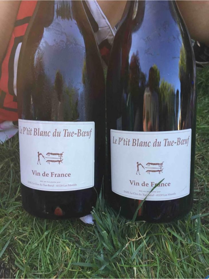 Pineau de la Loire - Clos du Tue-Bœuf - Zoé, Louise & Thierry Puzelat 