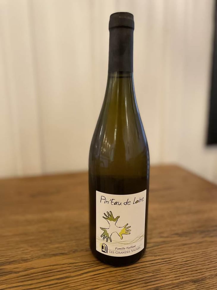 Pin'eau de la Loire - Les Grandes Vignes - Laurence, Dominique & Jean-François Vaillant 
