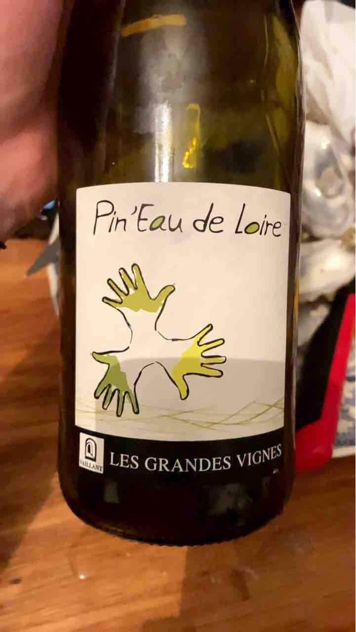 Pin'eau de la Loire - Les Grandes Vignes - Laurence, Dominique & Jean-François Vaillant 