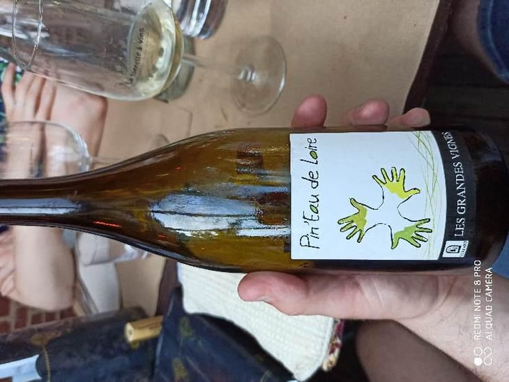 Pin'eau de la Loire - Les Grandes Vignes - Laurence, Dominique & Jean-François Vaillant 