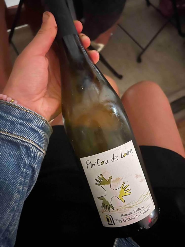 Pin'eau de la Loire - Les Grandes Vignes - Laurence, Dominique & Jean-François Vaillant 