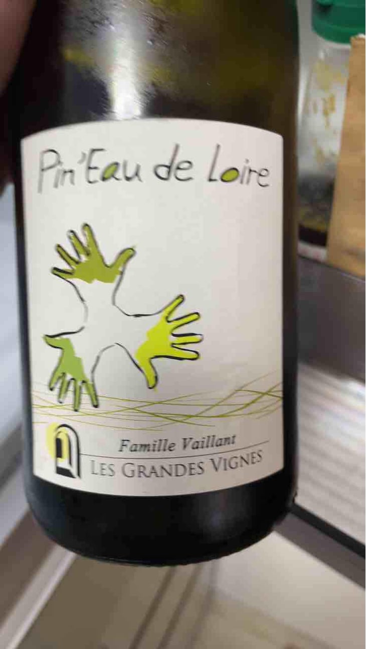Pin'eau de la Loire - Les Grandes Vignes - Laurence, Dominique & Jean-François Vaillant 
