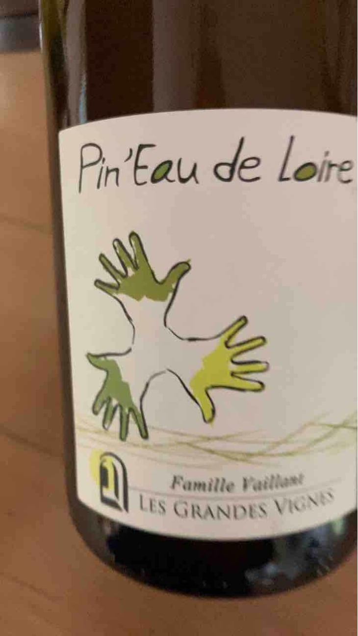 Pin'eau de la Loire - Les Grandes Vignes - Laurence, Dominique & Jean-François Vaillant 