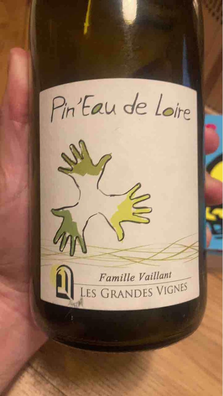 Pin'eau de la Loire - Les Grandes Vignes - Laurence, Dominique & Jean-François Vaillant 