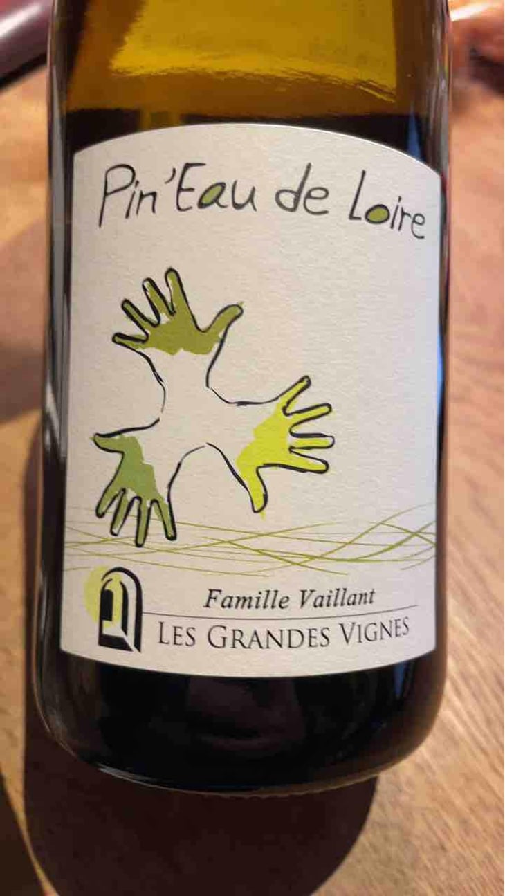 Pin'eau de la Loire - Les Grandes Vignes - Laurence, Dominique & Jean-François Vaillant 