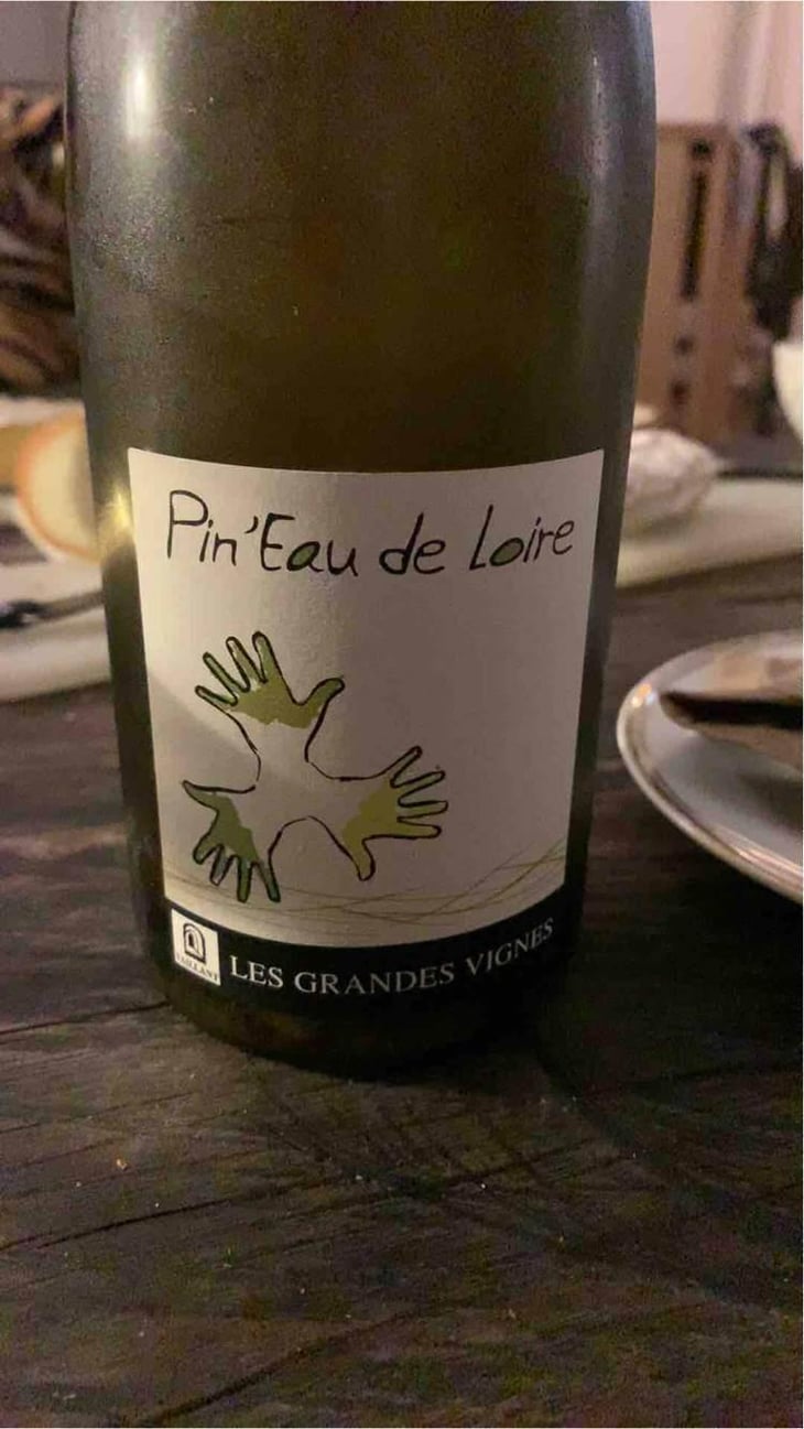 Pin'eau de la Loire - Les Grandes Vignes - Laurence, Dominique & Jean-François Vaillant 