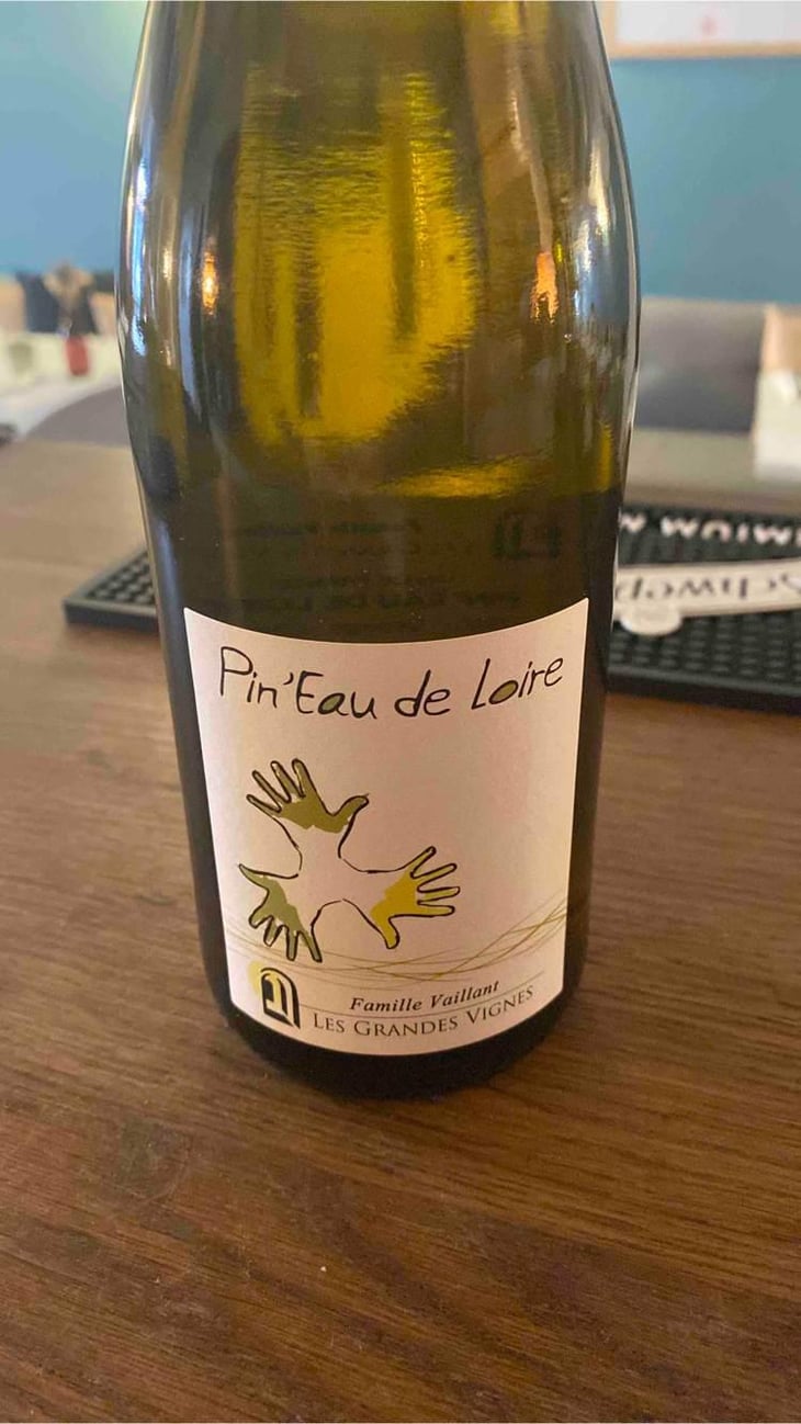 Pin'eau de la Loire - Les Grandes Vignes - Laurence, Dominique & Jean-François Vaillant 