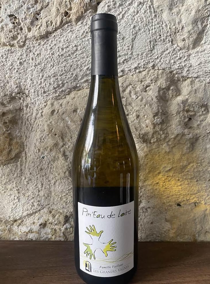 Pin'eau de la Loire - Les Grandes Vignes - Laurence, Dominique & Jean-François Vaillant 