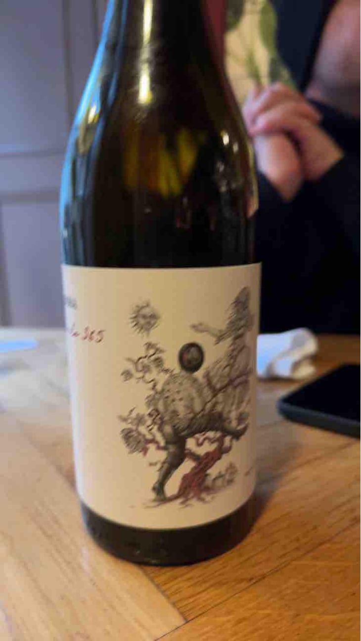 Pinela 365 - Fedora Wines - Valter & Mojca Kobal -2021