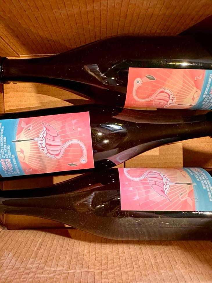 pink bird - Cantina Anonima - Ruggero Baronti & Damiano Donati -2023