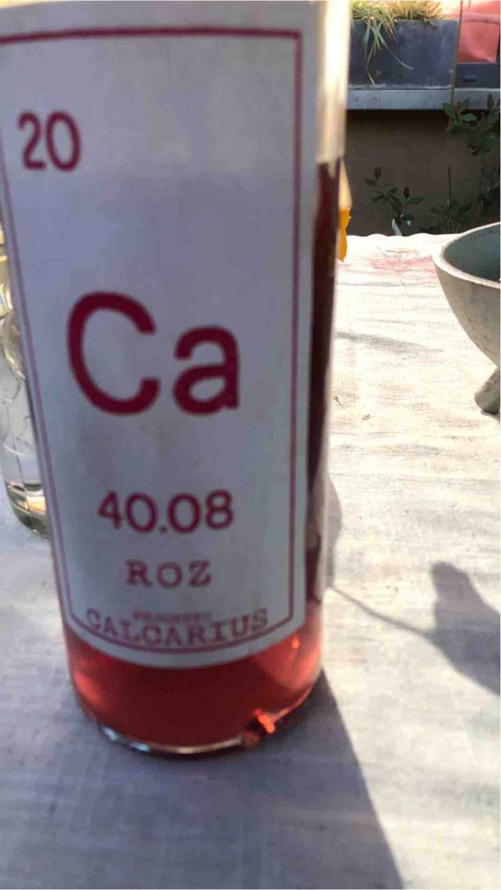 Calcarius Roz - Valentina Passalacqua - Valentina Passalacqua 