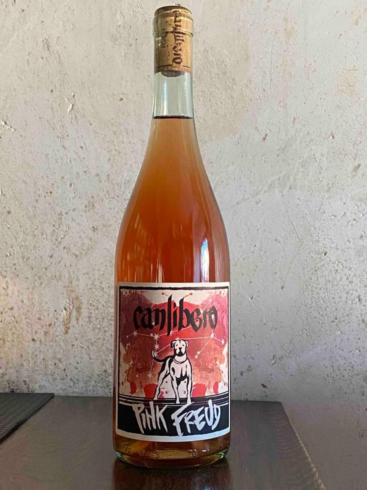 Pink Freud - Canlibero - Ennio Romano Cecaro, Mena Iannella 
