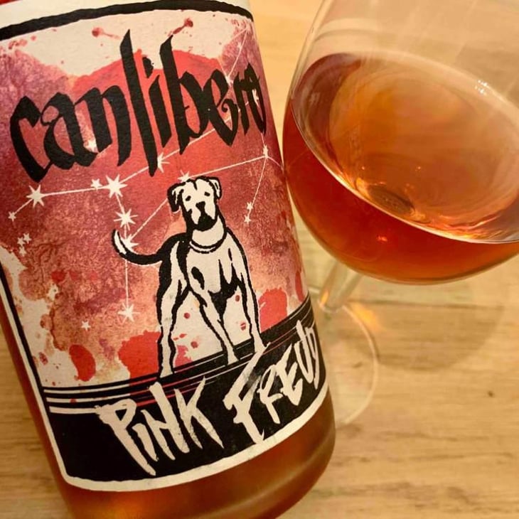 Pink Freud - Canlibero - Ennio Romano Cecaro, Mena Iannella 