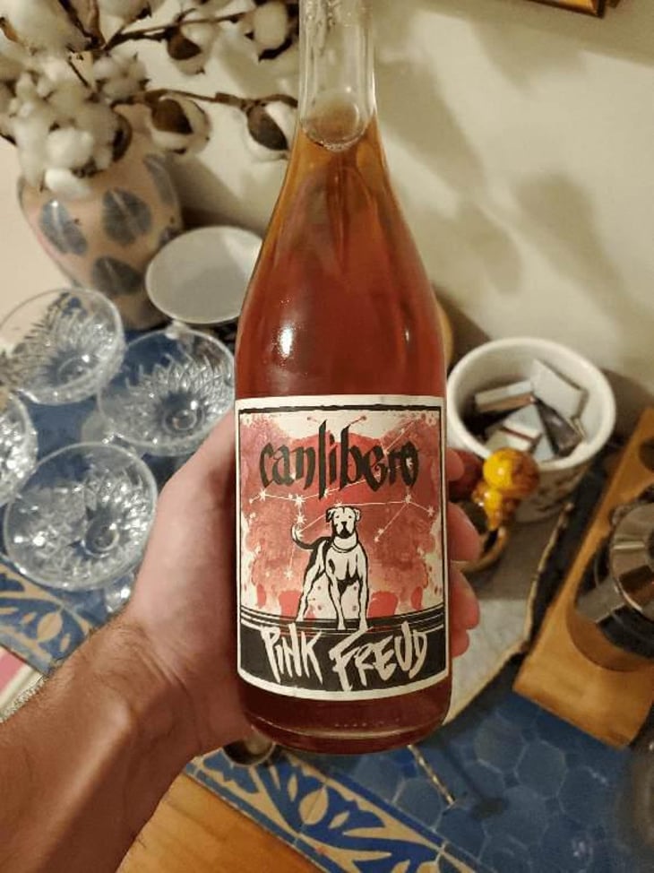 Pink Freud - Canlibero - Ennio Romano Cecaro, Mena Iannella 