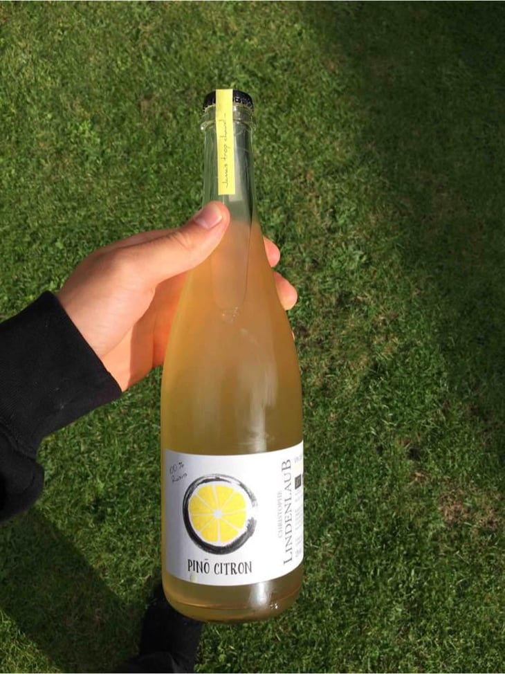 Pinô Citron - Lindenlaub - Christophe Lindenlaub 