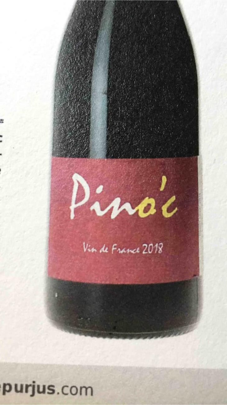 Pino'c - Wa Sud - Kohki Iwata -2022