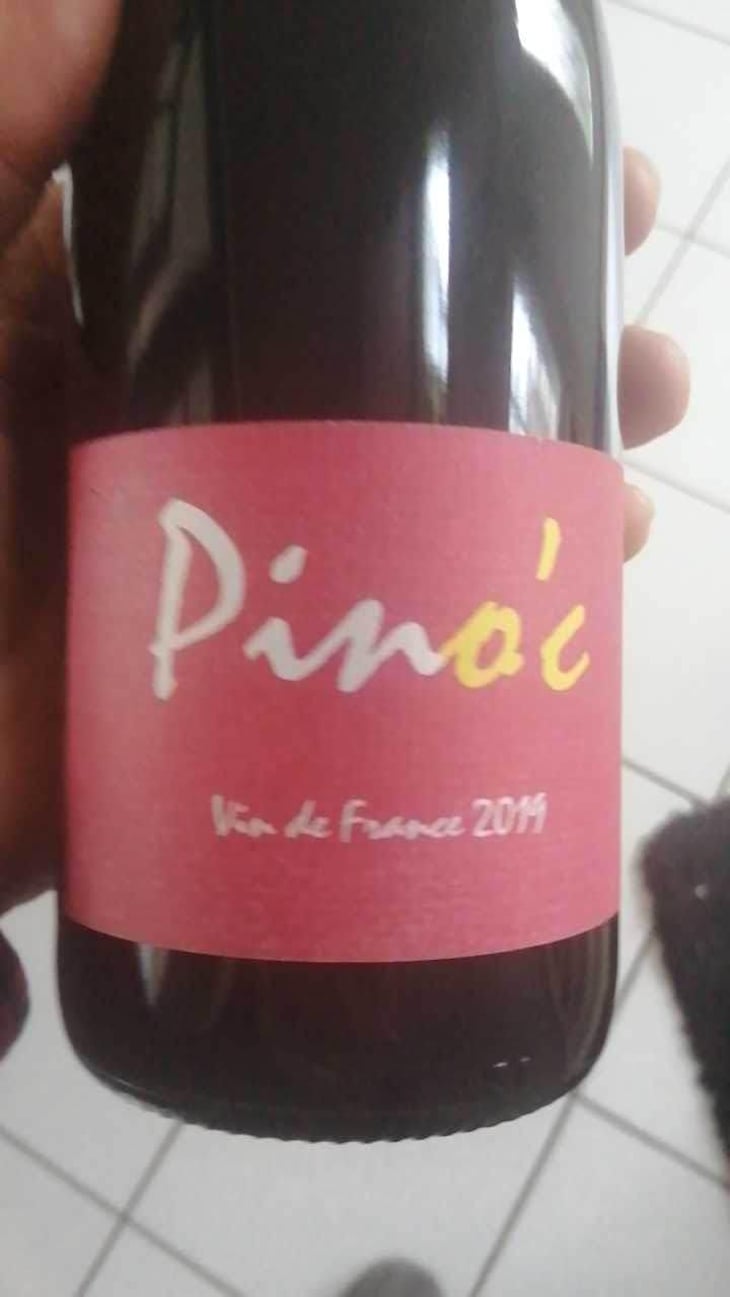 Pino'c - Wa Sud - Kohki Iwata -2022