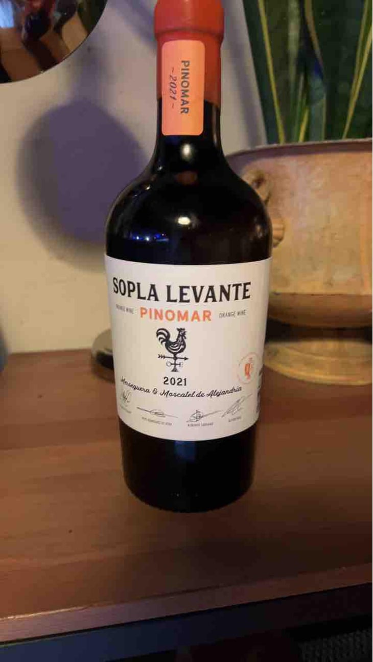 Pinomar - Sopla Levante - Pepe Rodríguez de Vera, Hilarión Pedauyé, Álvaro Ruiz & Alberto Soriano 