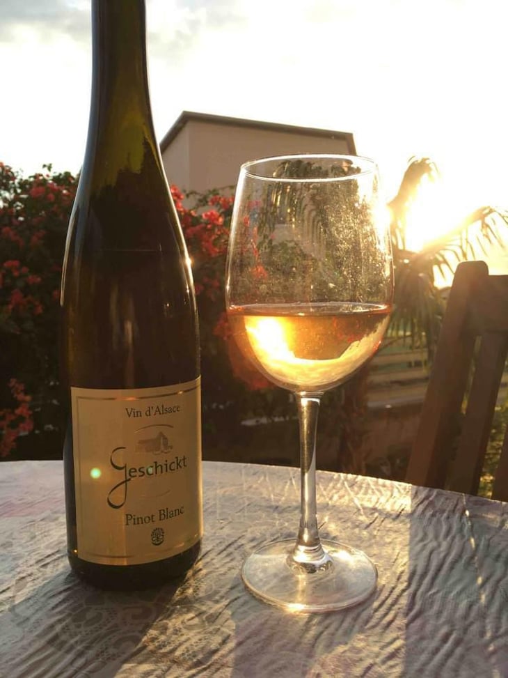 Pinot Blanc - Domaine Geschickt - Arnaud Geschickt & Aurélie Fayolle 