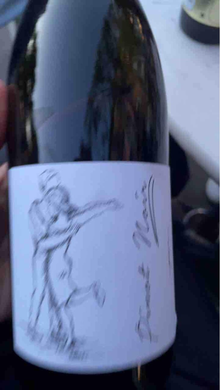 Pinot Blanc Pur - Brand Bros - Weingut Brand - Daniel & Jonas Brand 