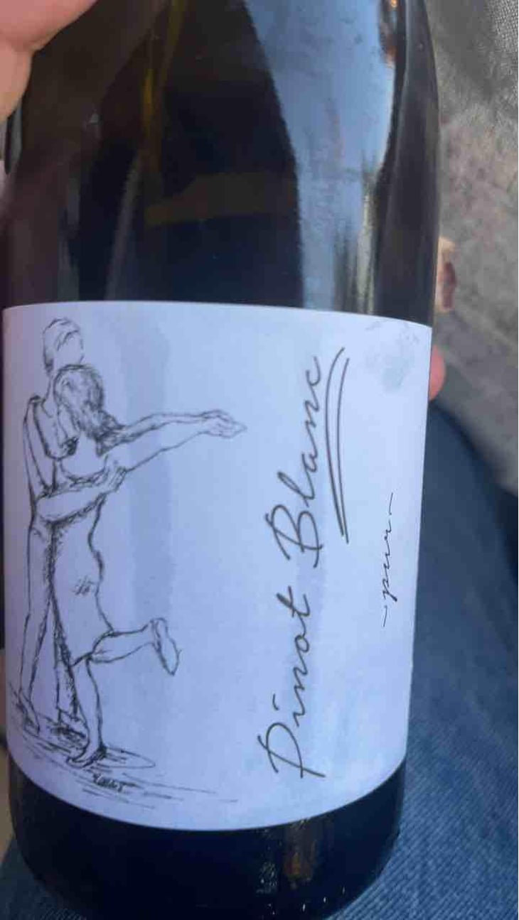 Pinot Blanc Pur - Brand Bros - Weingut Brand - Daniel & Jonas Brand 