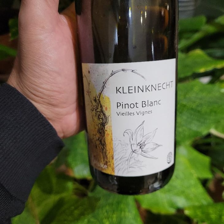 Pinot Blanc "Vieilles Vignes" - Domaine Kleinknecht - André Kleinknecht 