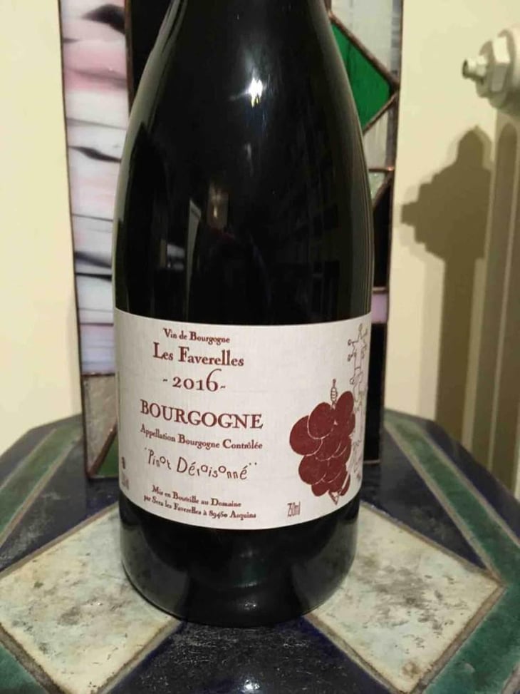 Pinot Déraisonné - Domaine des Faverelles - Isabelle & Patrick Georgelin 