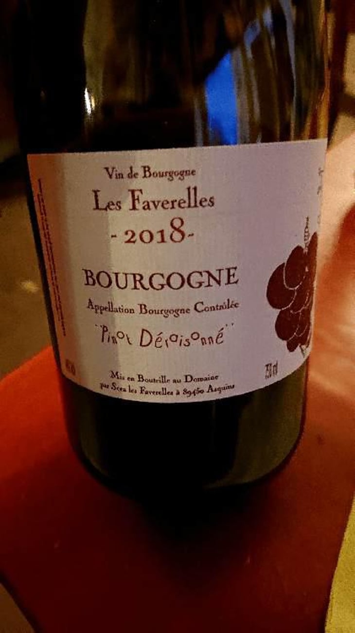 Pinot Déraisonné - Domaine des Faverelles - Isabelle & Patrick Georgelin 